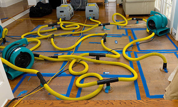 Professional Emergency Water Removal technician working in Kemp, TX